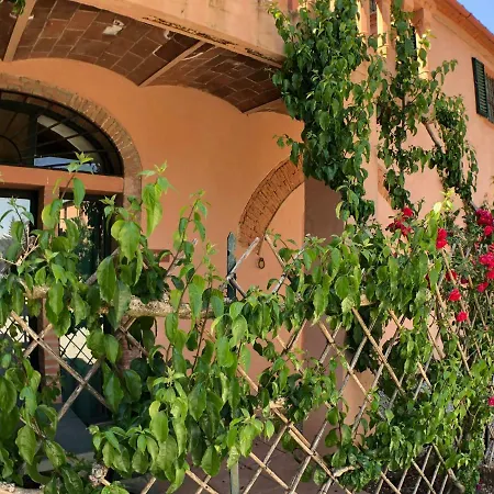 Fattoria Di Casalappi * Кампилья-Мариттима